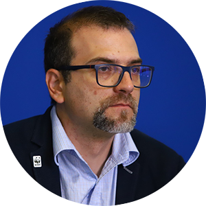 Апостол Дянков